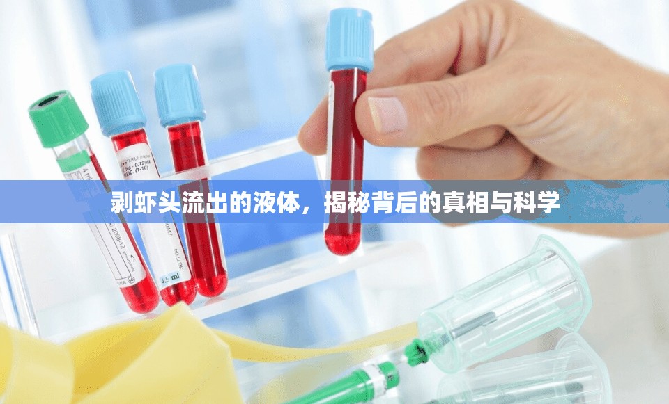 剝蝦頭流出的液體，揭秘背后的真相與科學(xué)