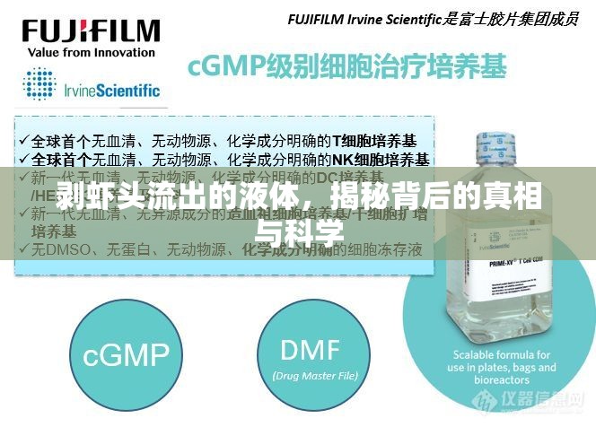 剝蝦頭流出的液體，揭秘背后的真相與科學(xué)