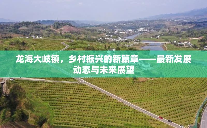 龍海大岐鎮(zhèn)，鄉(xiāng)村振興的新篇章——最新發(fā)展動(dòng)態(tài)與未來(lái)展望