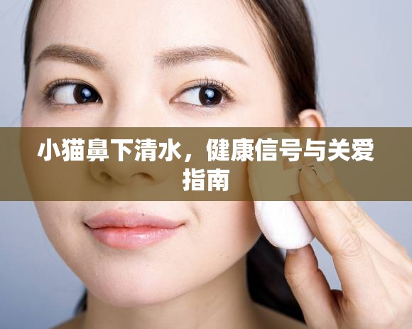 小貓鼻下清水，健康信號與關(guān)愛指南