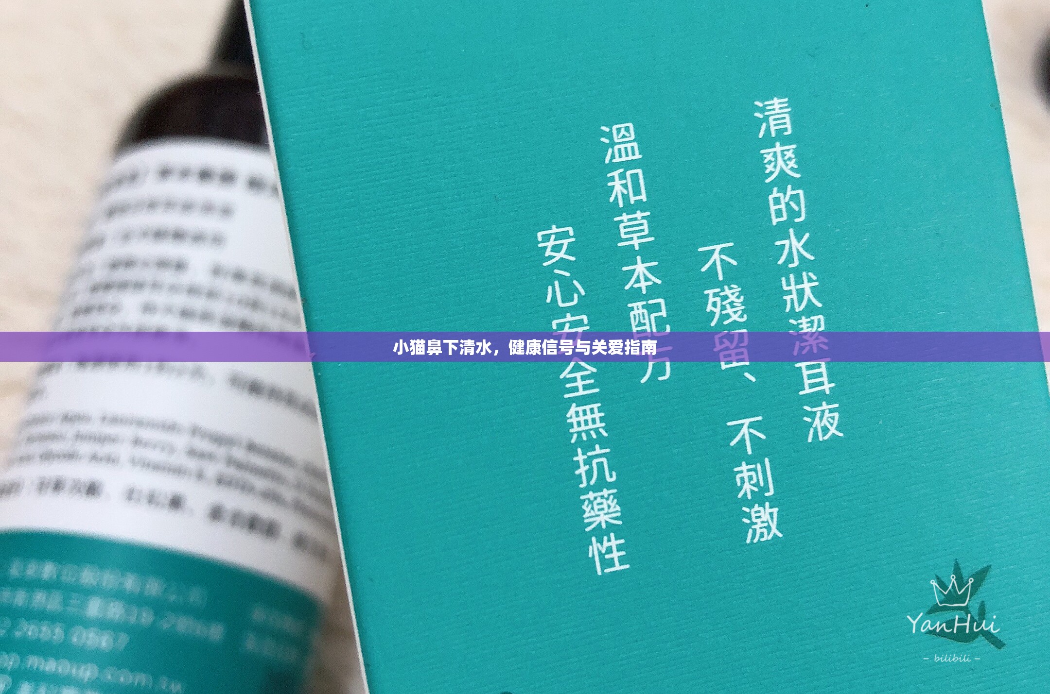 小貓鼻下清水，健康信號與關(guān)愛指南