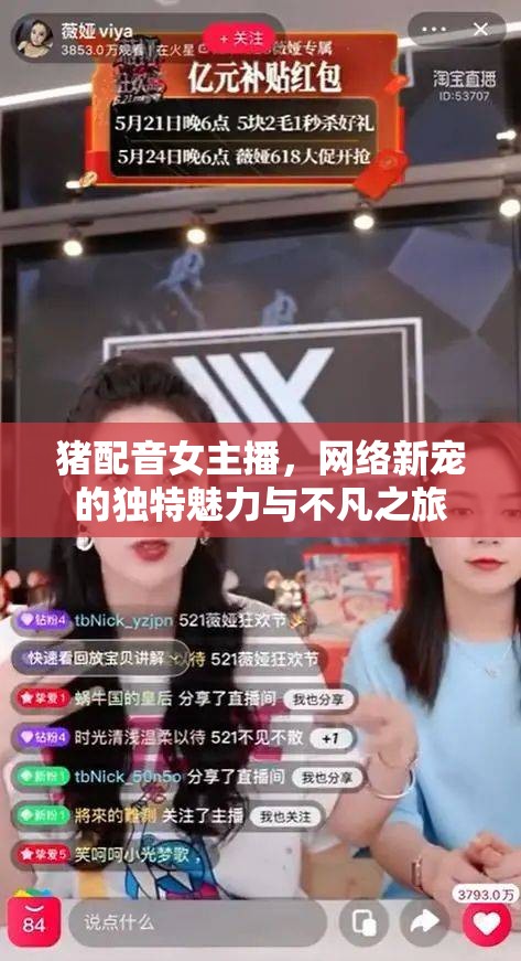豬配音女主播，網(wǎng)絡(luò)新寵的獨(dú)特魅力與不凡之旅