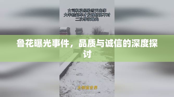 魯花曝光事件，品質(zhì)與誠信的深度探討