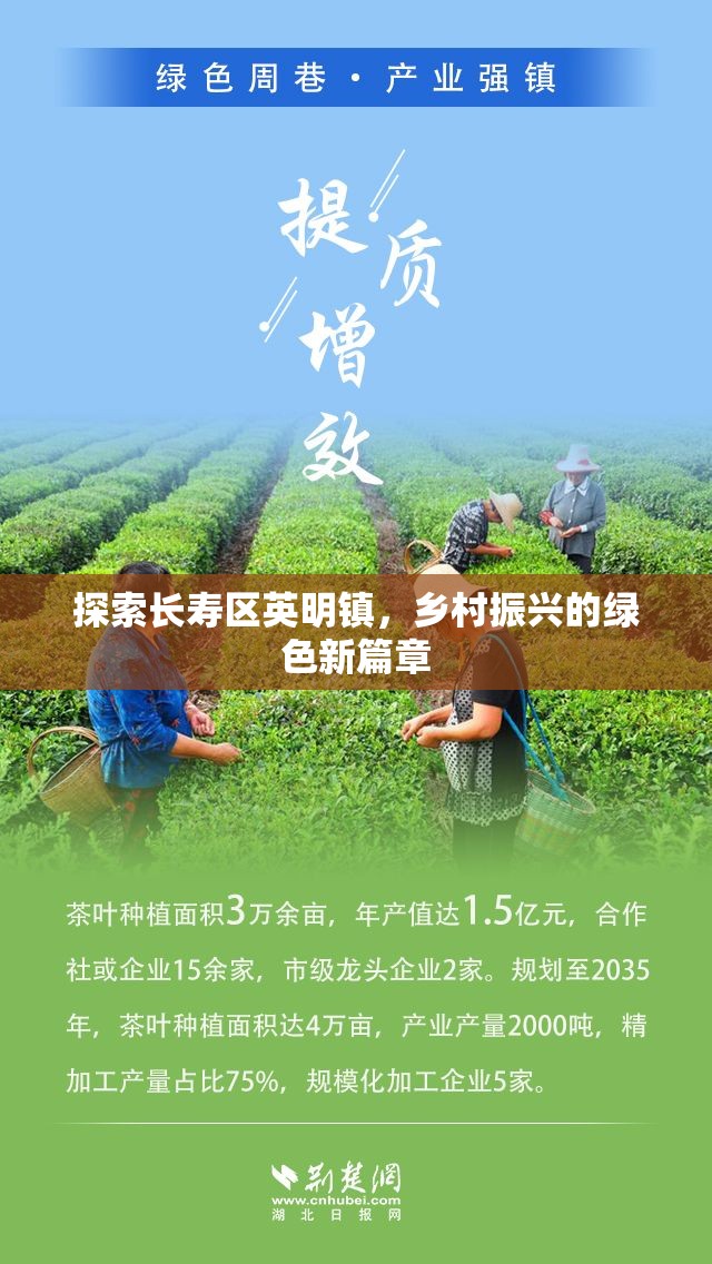 探索長(zhǎng)壽區(qū)英明鎮(zhèn)，鄉(xiāng)村振興的綠色新篇章