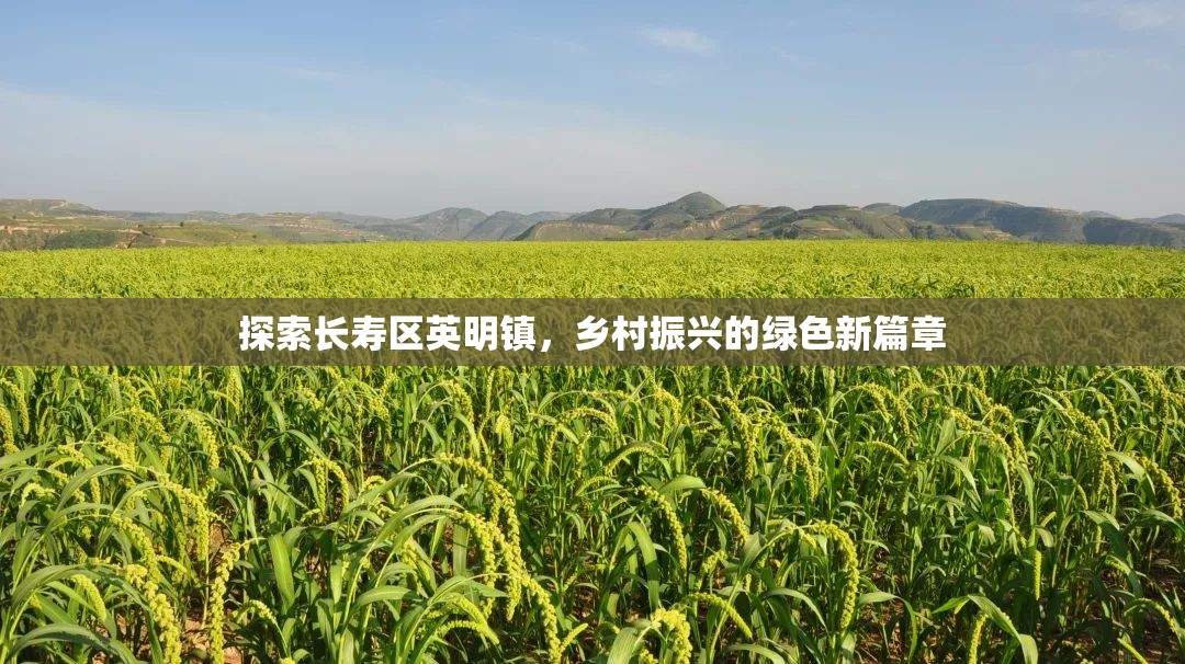 探索長(zhǎng)壽區(qū)英明鎮(zhèn)，鄉(xiāng)村振興的綠色新篇章