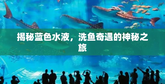 揭秘藍色水液，洗魚奇遇的神秘之旅