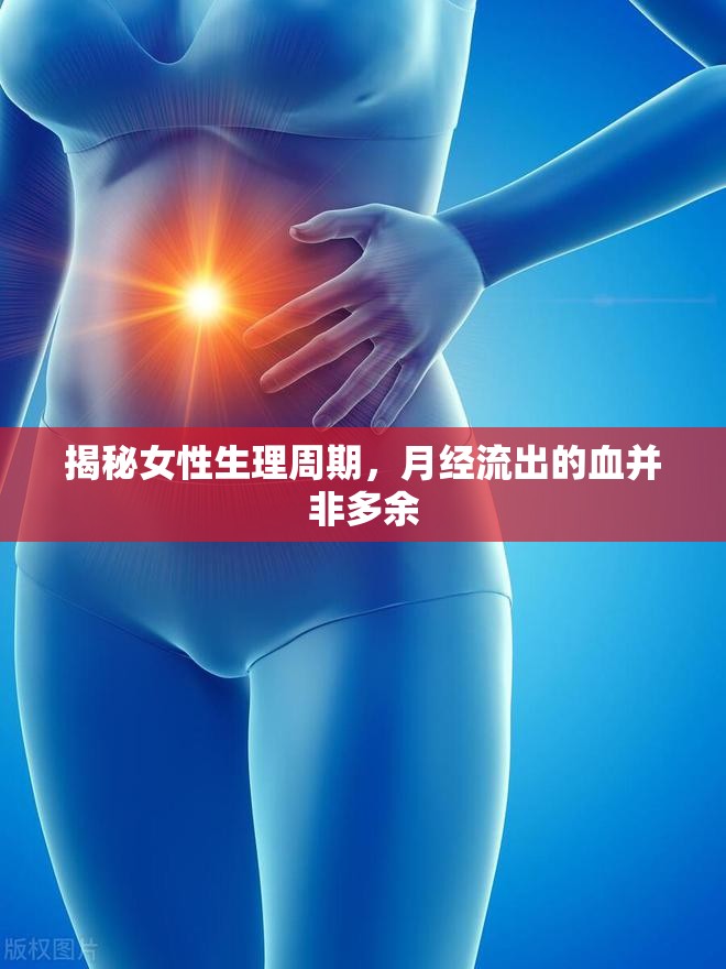 揭秘女性生理周期，月經(jīng)流出的血并非多余