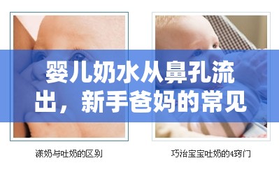 嬰兒奶水從鼻孔流出，新手爸媽的常見困惑與有效應(yīng)對策略