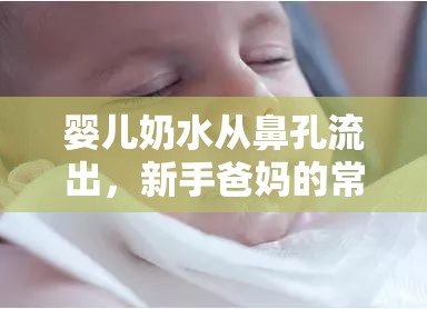 嬰兒奶水從鼻孔流出，新手爸媽的常見困惑與有效應(yīng)對策略