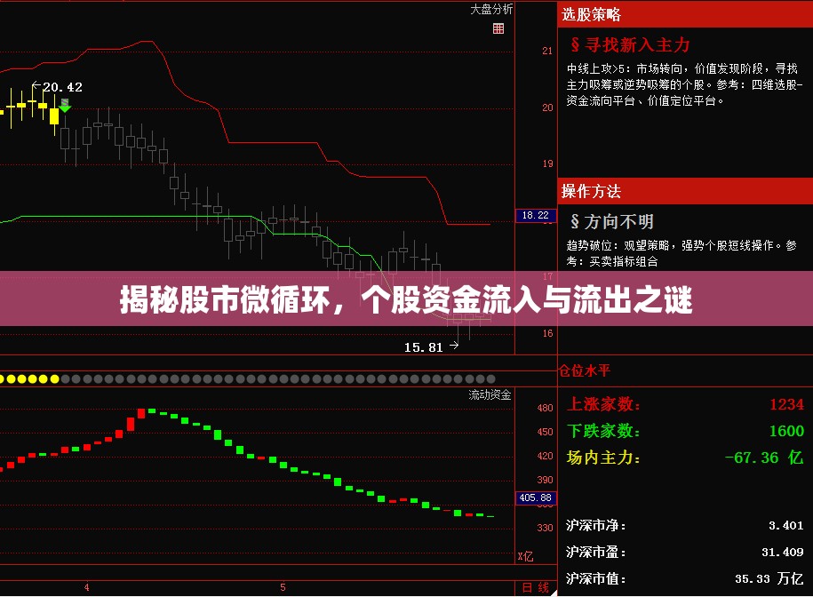 揭秘股市微循環(huán)，個(gè)股資金流入與流出之謎