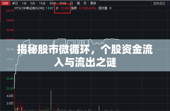 揭秘股市微循環(huán)，個(gè)股資金流入與流出之謎