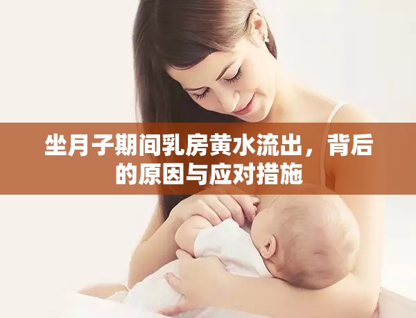 坐月子期間乳房黃水流出，背后的原因與應對措施
