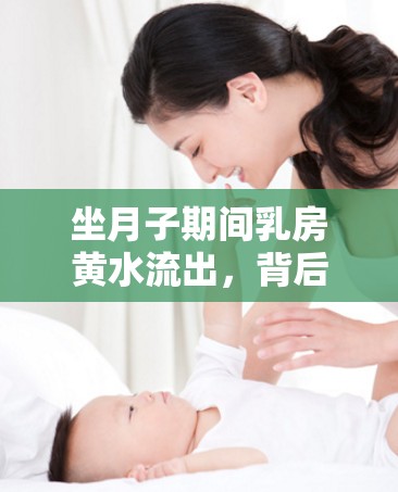 坐月子期間乳房黃水流出，背后的原因與應對措施