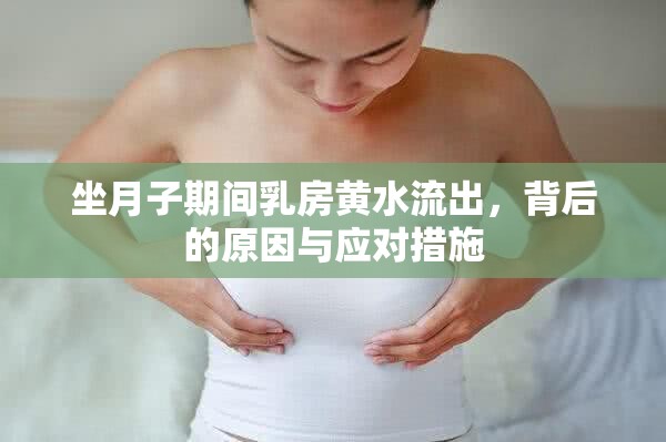 坐月子期間乳房黃水流出，背后的原因與應對措施