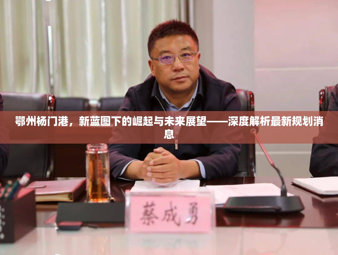 鄂州楊門港，新藍圖下的崛起與未來展望——深度解析最新規(guī)劃消息