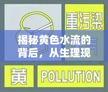 揭秘黃色水流的背后，從生理現(xiàn)象到健康警示