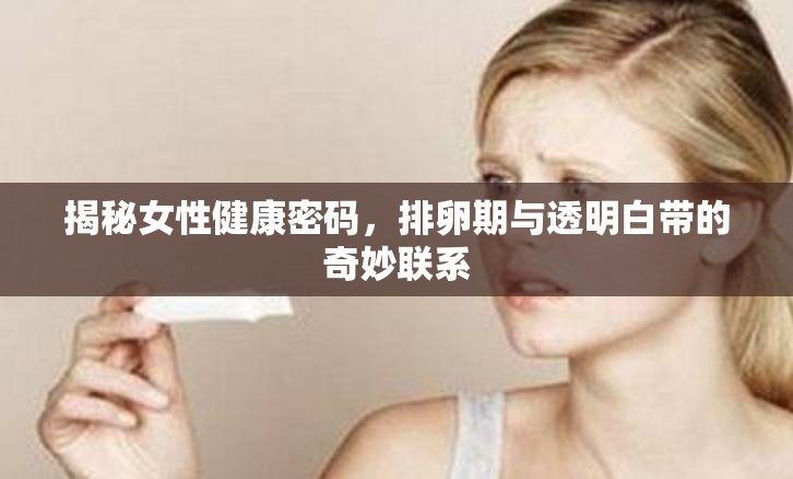 揭秘女性健康密碼，排卵期與透明白帶的奇妙聯(lián)系