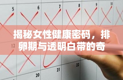 揭秘女性健康密碼，排卵期與透明白帶的奇妙聯(lián)系