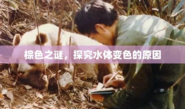 棕色之謎，探究水體變色的原因