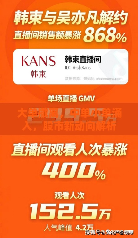 大單撤離，中單小單涌入，股市新動(dòng)向解析