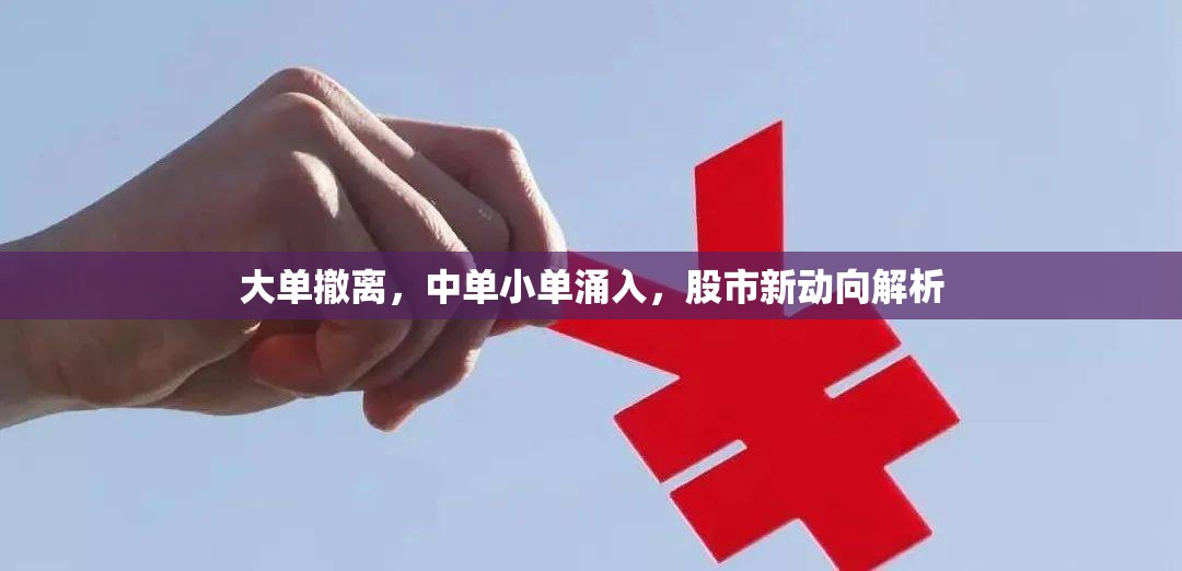 大單撤離，中單小單涌入，股市新動(dòng)向解析