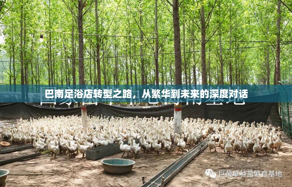 巴南足浴店轉(zhuǎn)型之路，從繁華到未來(lái)的深度對(duì)話