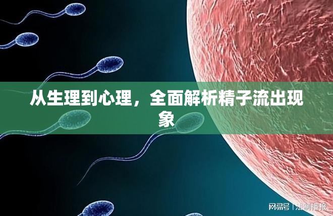從生理到心理，全面解析精子流出現(xiàn)象