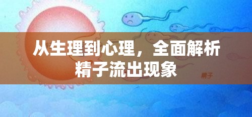 從生理到心理，全面解析精子流出現(xiàn)象