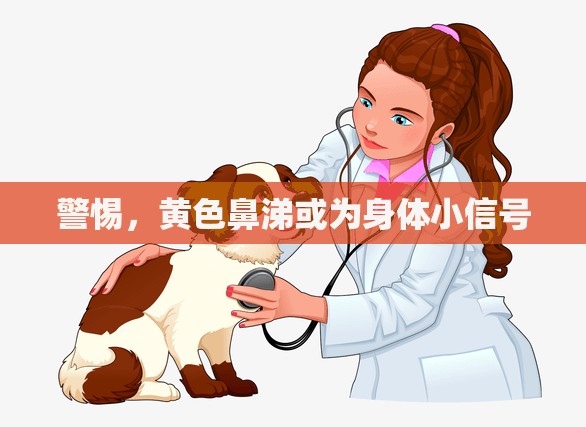 警惕，黃色鼻涕或?yàn)樯眢w小信號(hào)