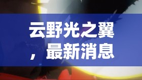 云野光之翼，最新消息揭秘與未來(lái)展望