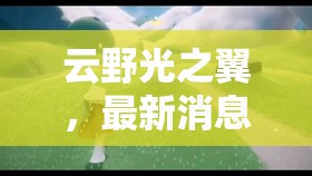 云野光之翼，最新消息揭秘與未來(lái)展望
