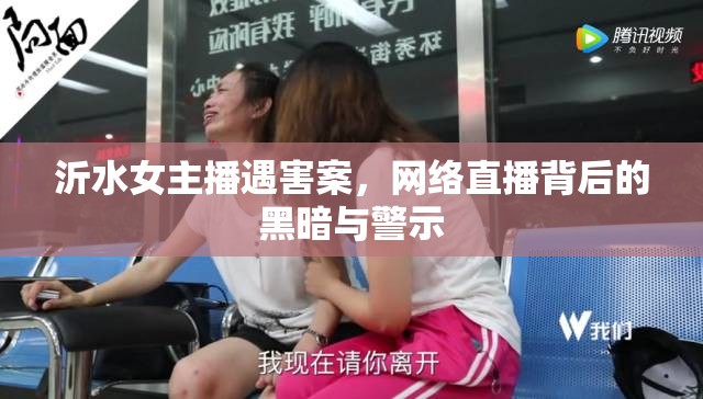 沂水女主播遇害案，網(wǎng)絡(luò)直播背后的黑暗與警示