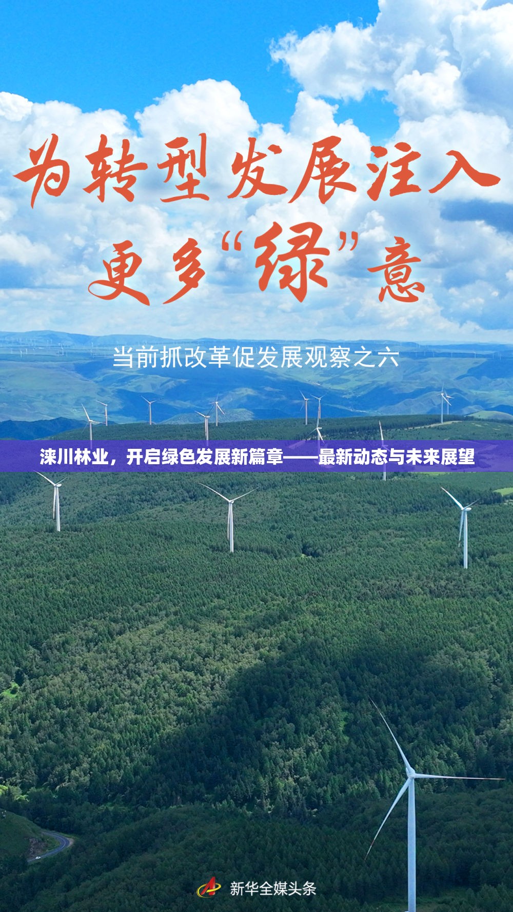 淶川林業(yè)，開啟綠色發(fā)展新篇章——最新動態(tài)與未來展望