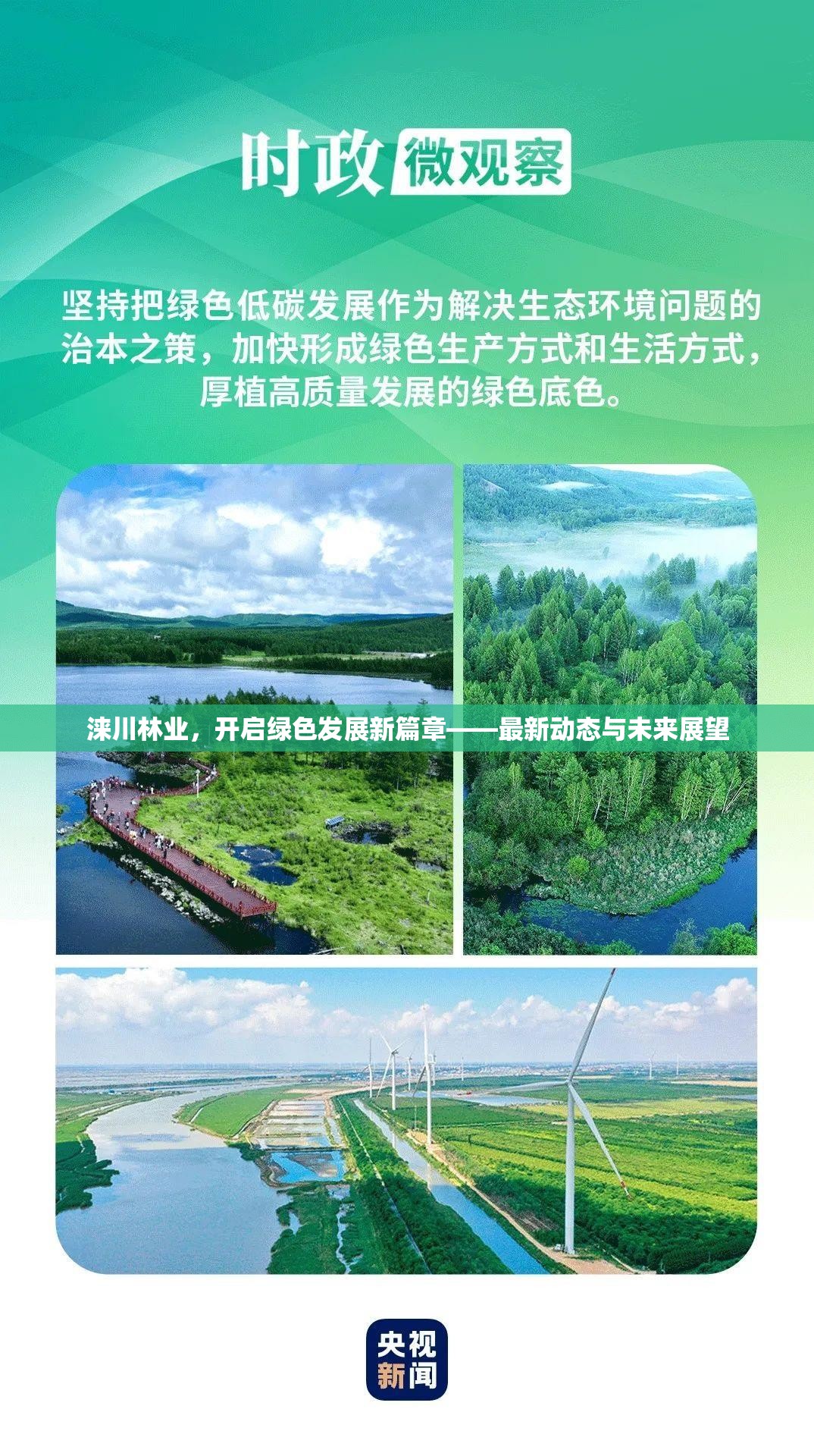 淶川林業(yè)，開啟綠色發(fā)展新篇章——最新動態(tài)與未來展望