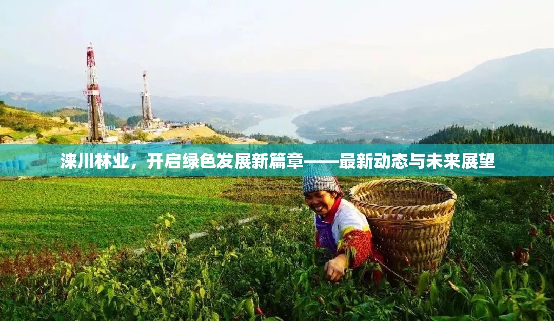 淶川林業(yè)，開啟綠色發(fā)展新篇章——最新動態(tài)與未來展望