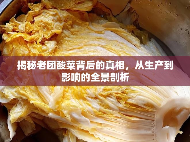 揭秘老團(tuán)酸菜背后的真相，從生產(chǎn)到影響的全景剖析
