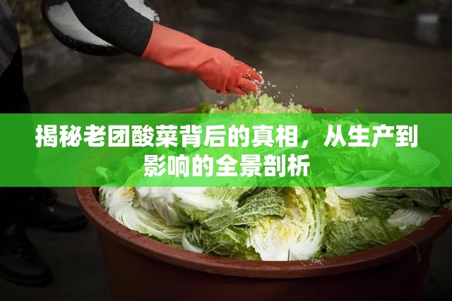 揭秘老團(tuán)酸菜背后的真相，從生產(chǎn)到影響的全景剖析