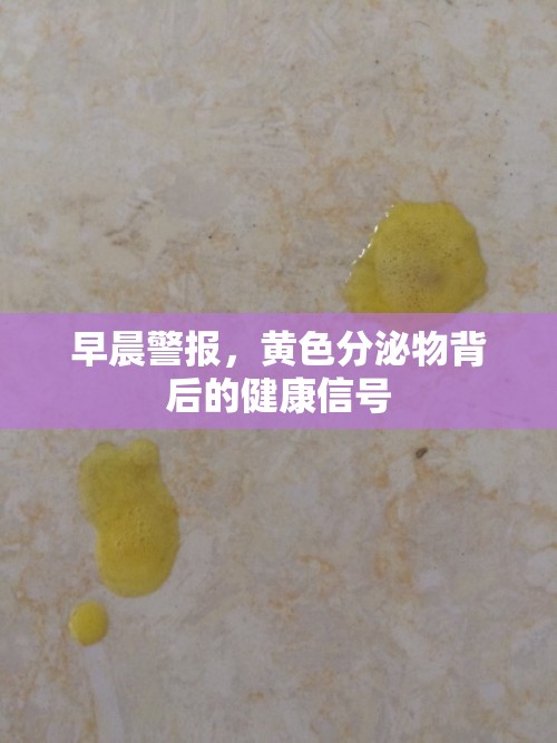 早晨警報，黃色分泌物背后的健康信號
