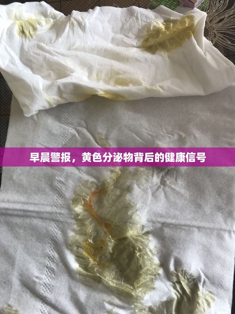 早晨警報，黃色分泌物背后的健康信號