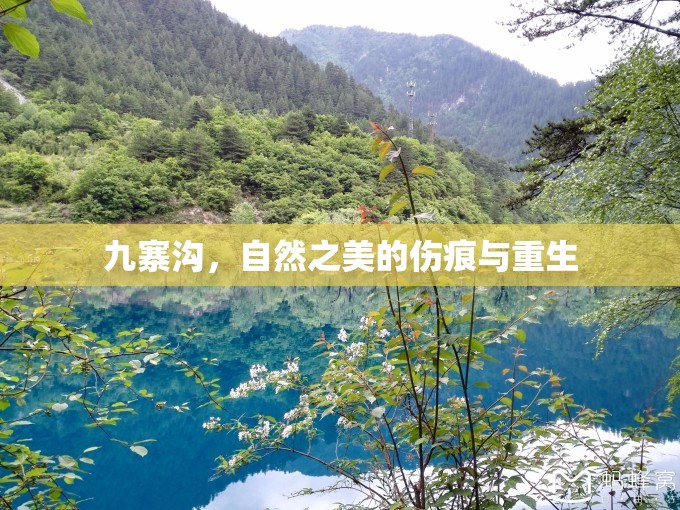 九寨溝，自然之美的傷痕與重生
