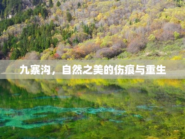 九寨溝，自然之美的傷痕與重生