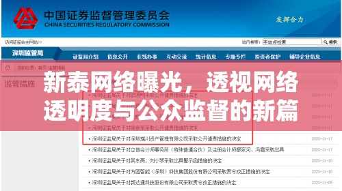 新泰網(wǎng)絡曝光，透視網(wǎng)絡透明度與公眾監(jiān)督的新篇章