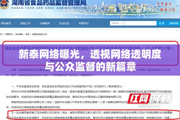 新泰網(wǎng)絡曝光，透視網(wǎng)絡透明度與公眾監(jiān)督的新篇章