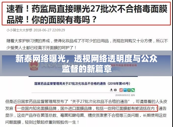 新泰網(wǎng)絡曝光，透視網(wǎng)絡透明度與公眾監(jiān)督的新篇章
