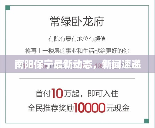 南陽保寧最新動(dòng)態(tài)，新聞速遞