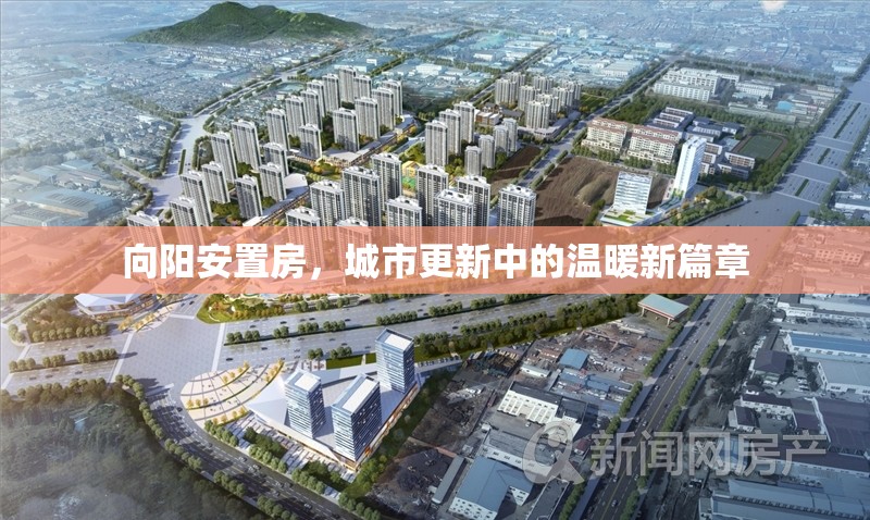 向陽安置房，城市更新中的溫暖新篇章