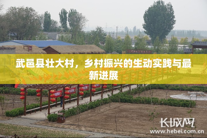 武邑縣壯大村，鄉(xiāng)村振興的生動實踐與最新進展