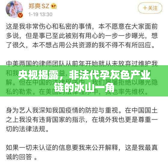 央視揭露，非法代孕灰色產(chǎn)業(yè)鏈的冰山一角