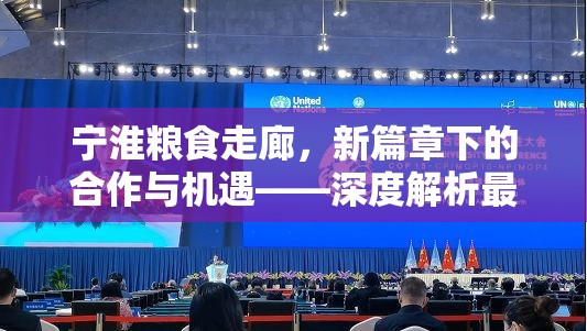 寧淮糧食走廊，新篇章下的合作與機(jī)遇——深度解析最新消息
