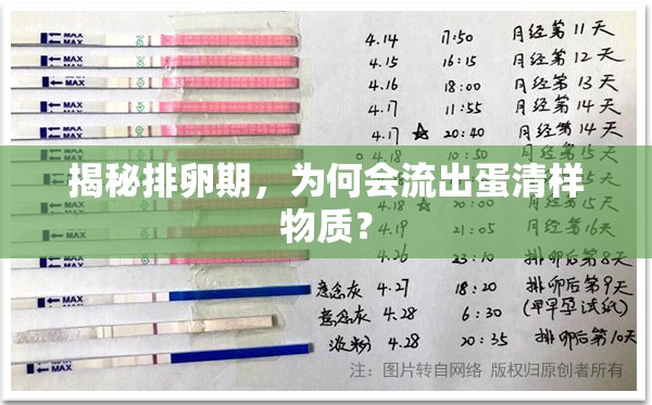 揭秘排卵期，為何會流出蛋清樣物質(zhì)？
